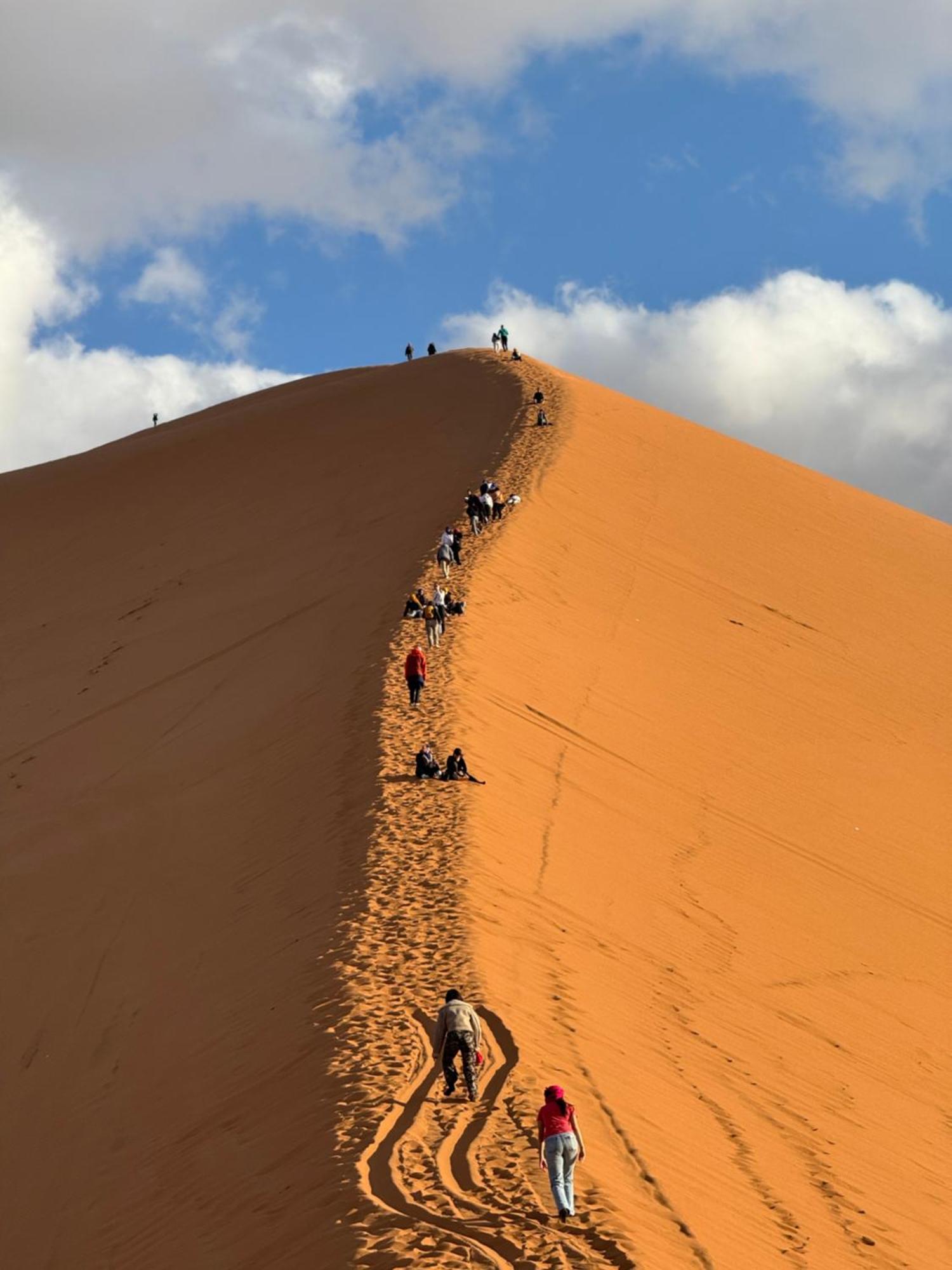 Tente de luxe Camp Sakura Desert Dream
